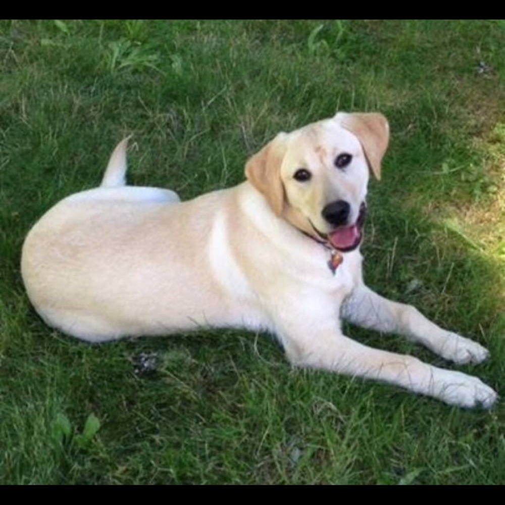 Meet your Posher, Lori