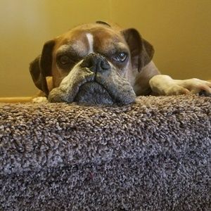 Meet your Posher, Kylie