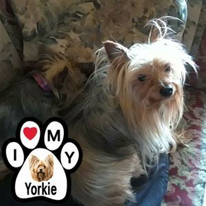 Meet your Posher, Dianna