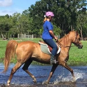 Meet your Posher, Taylor