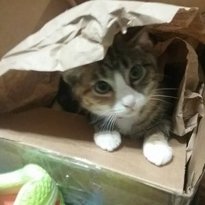 Meet your Posher, Debra