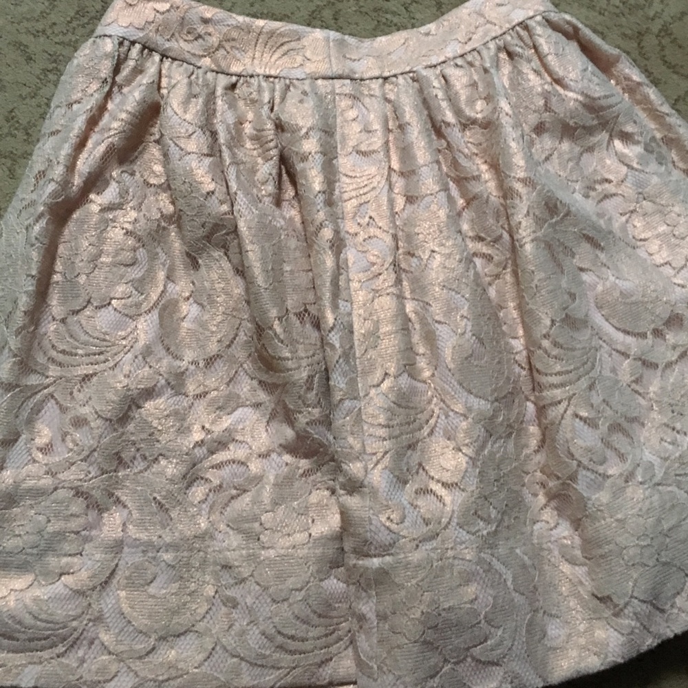 Banana Republic Lace Skirt