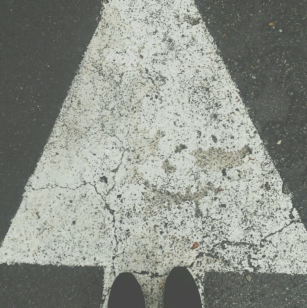 Meet your Posher, Jessie