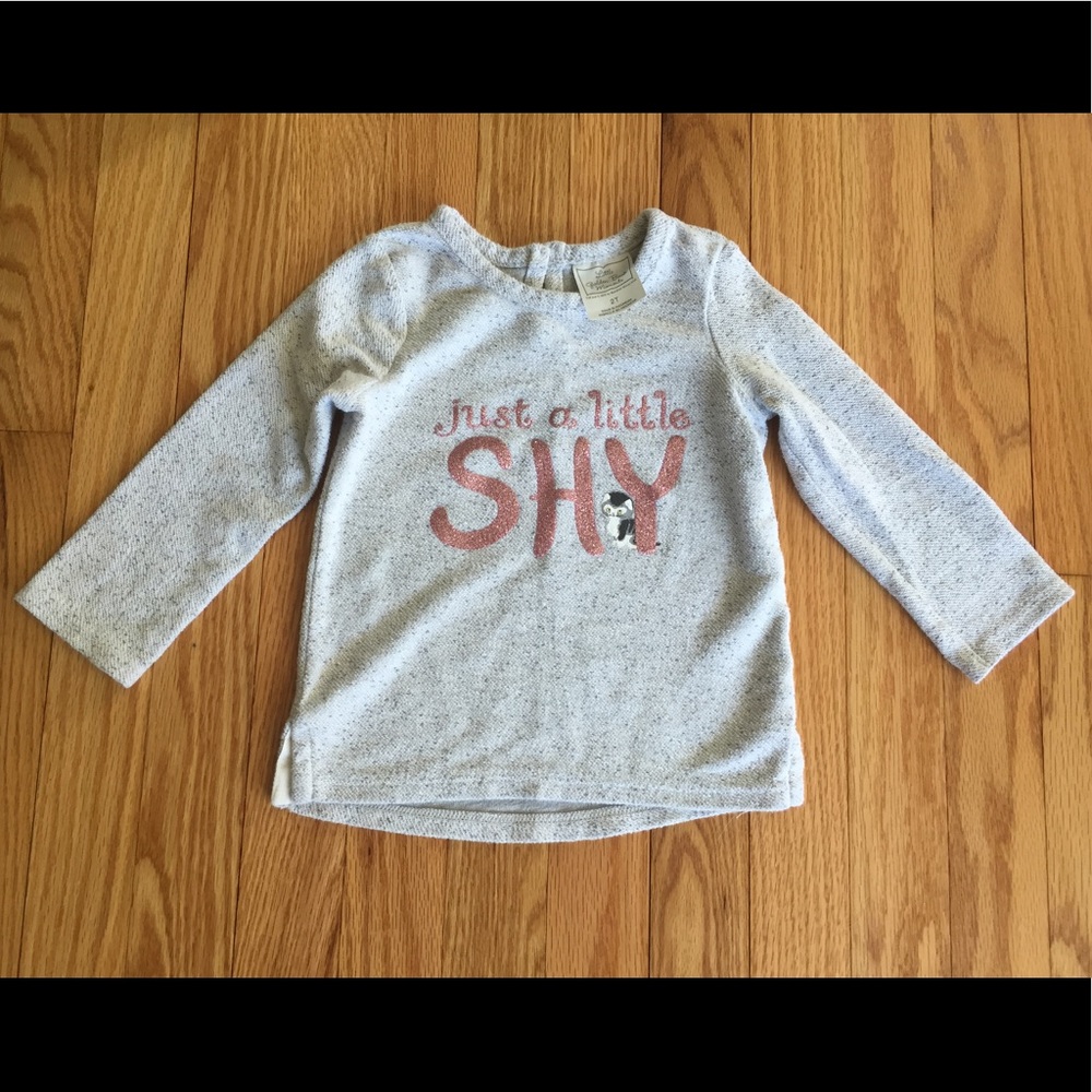 "Shy" heather gray sweatshirt (size 2T)