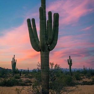 Meet your Posher, Avery