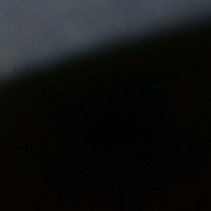 Meet your Posher, Sheila