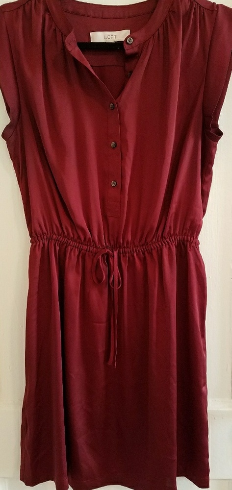 Day to Night LOFT Dress