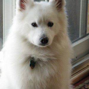 Meet your Posher, Michele