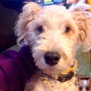 Meet your Posher, Peggy