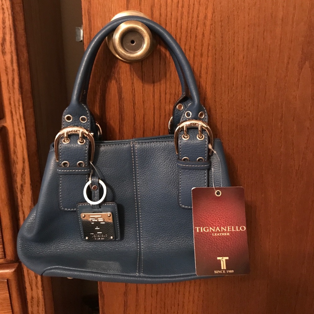 Tignanello Perfect 10 French Tote Moroccan Blue