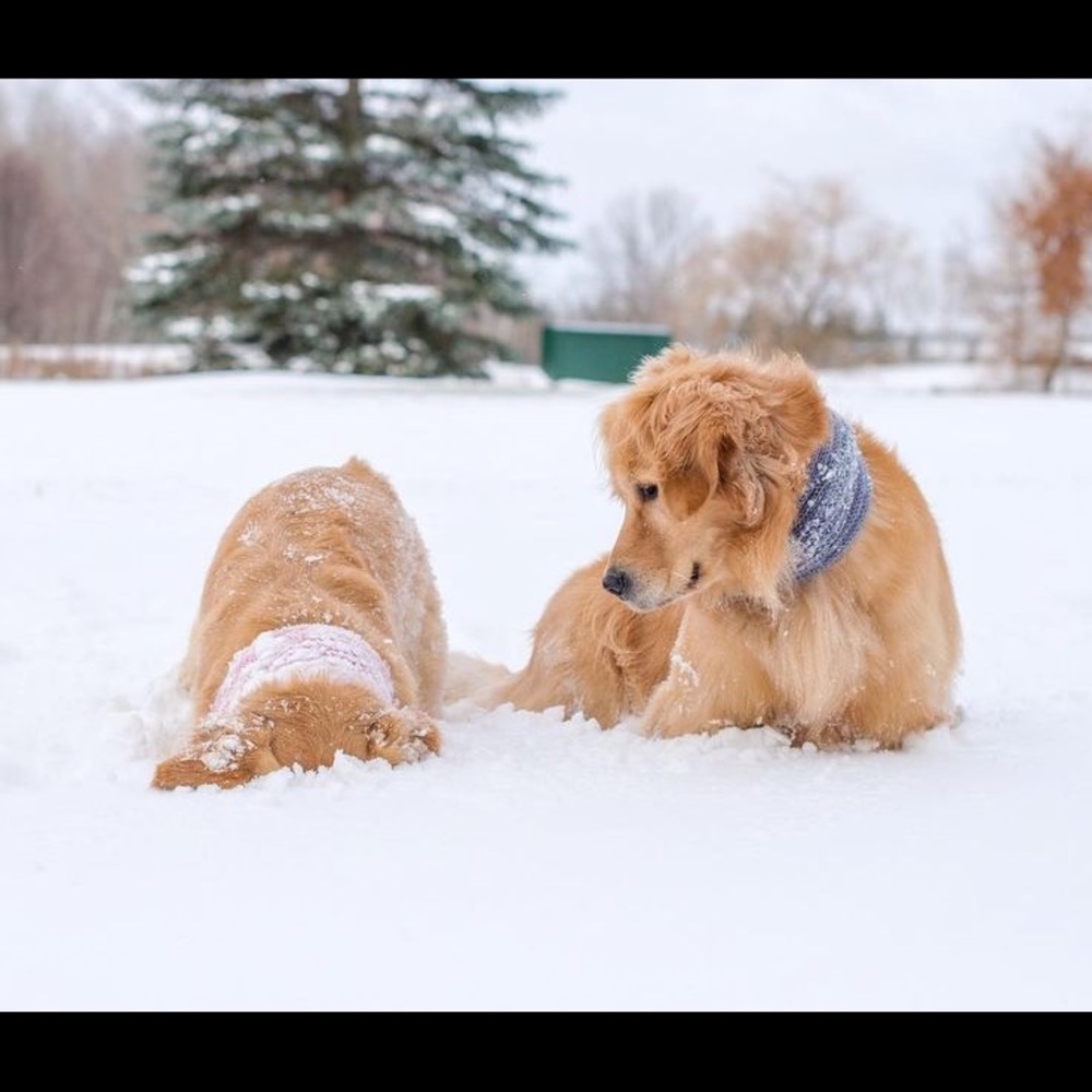 Meet your Posher, Nikki