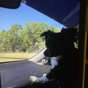 Meet your Posher, Charlotte