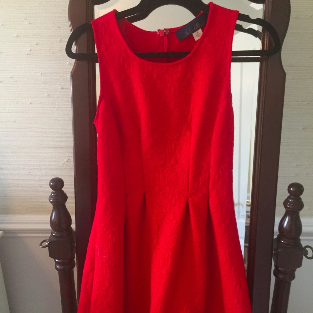 Red Fit and Flare Dress Size S Francesca's