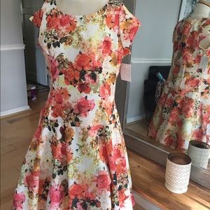 Shabby Apple Mabel Dress NWT