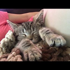 Meet your Posher, Madison