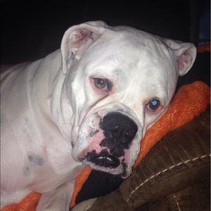 Meet your Posher, Lori