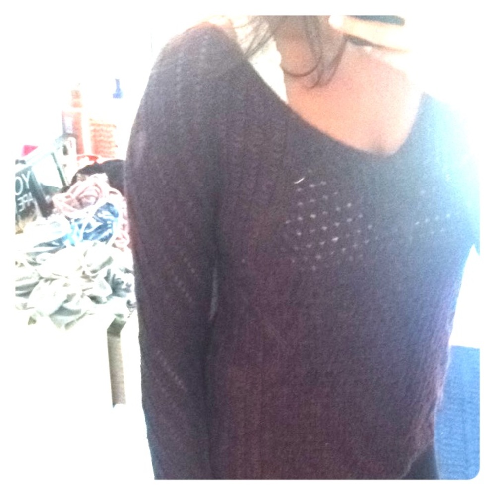 AEO Plum Sweater