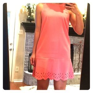Loft Eyelet Pink dress