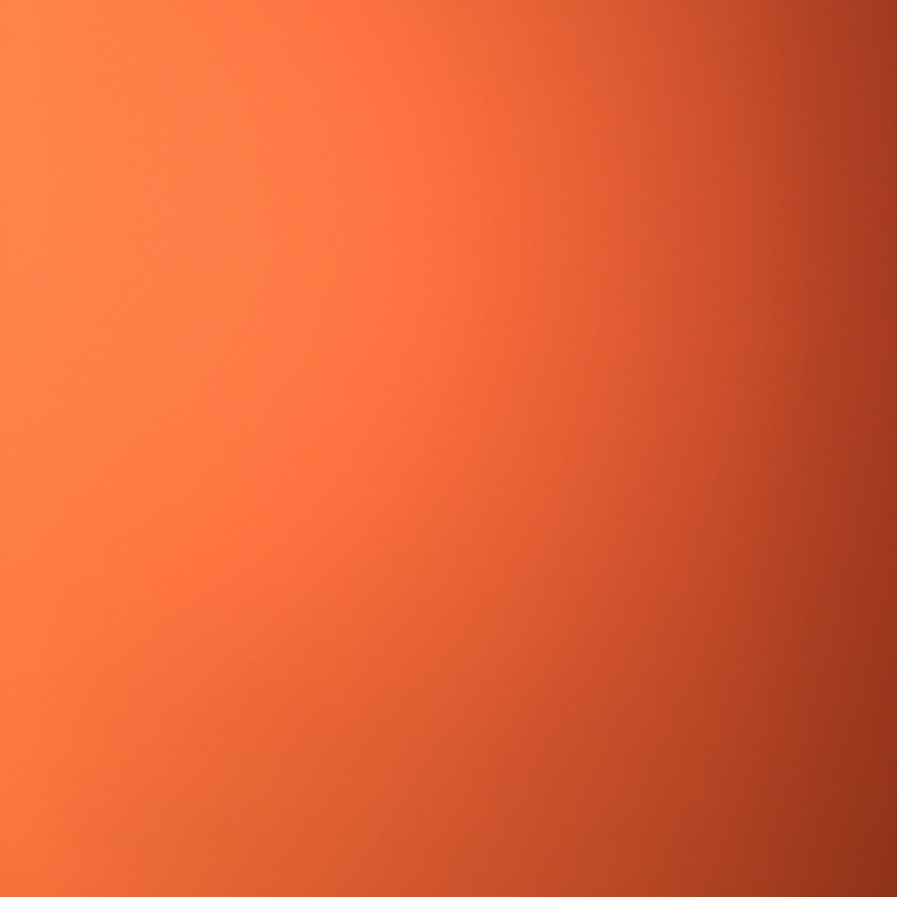 Meet your Posher, Lauran