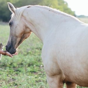 Meet your Posher, Caitlin