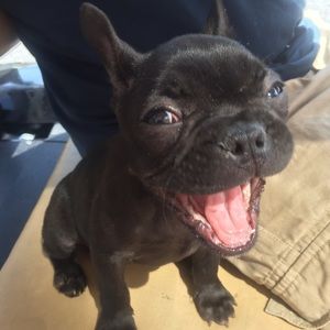 Meet your Posher, Bernie