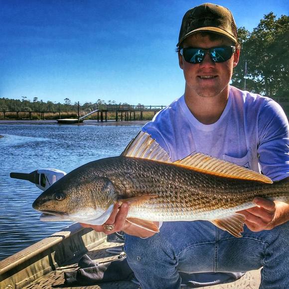 Meet your Posher, Hal - Picture 1 of 1