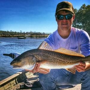 Meet your Posher, Hal