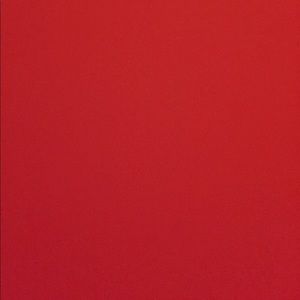 Meet your Posher, Dina