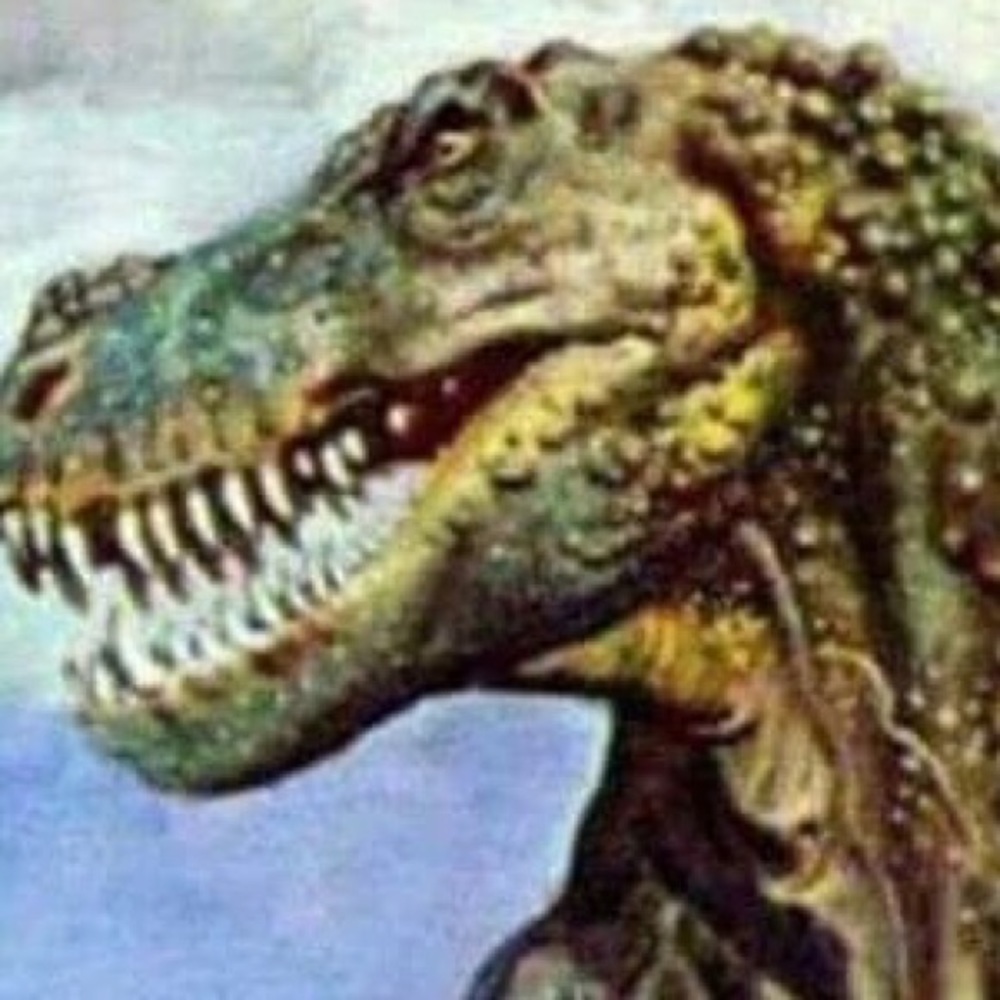 Meet your Posher, Noah