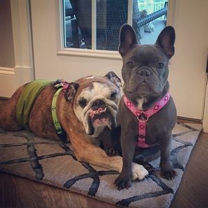 Meet your Posher, Daniel