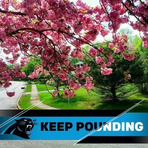 Meet your Posher, Yvette