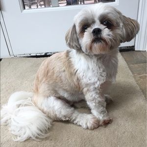 Meet your Posher, Kristina