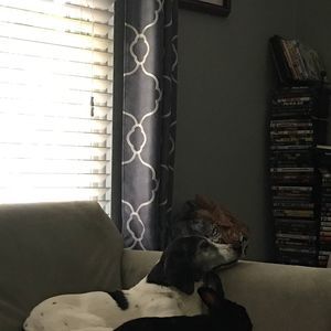 Meet your Posher, Bianca