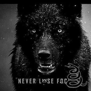 Meet your Posher, Derek