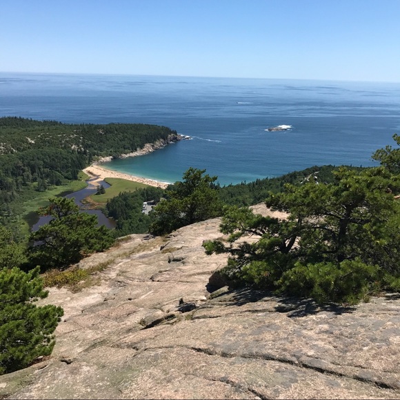 Meet your Posher, Thelma - Picture 1 of 1