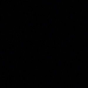 Meet your Posher, Katy