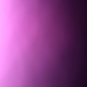 Meet your Posher, Natasha