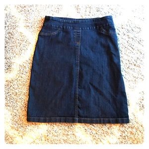 Adorable Jean Skirt