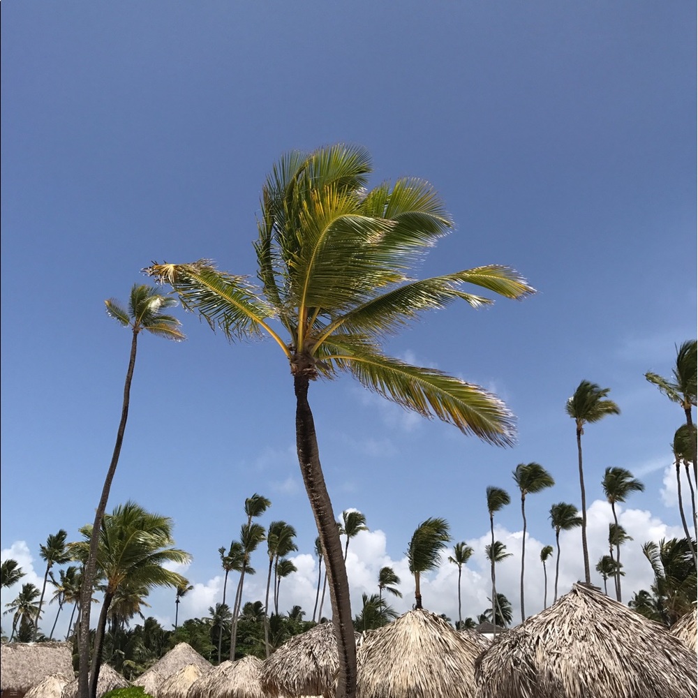 Meet your Posher, Katy