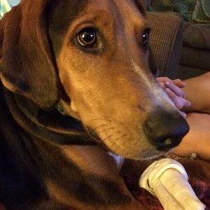 Meet your Posher, Michele