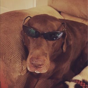 Meet your Posher, Fatima