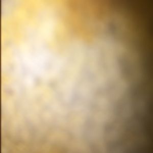 Meet your Posher, Tiana