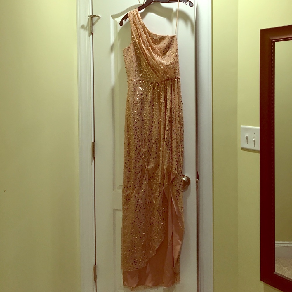 Max and Cleo formal dress