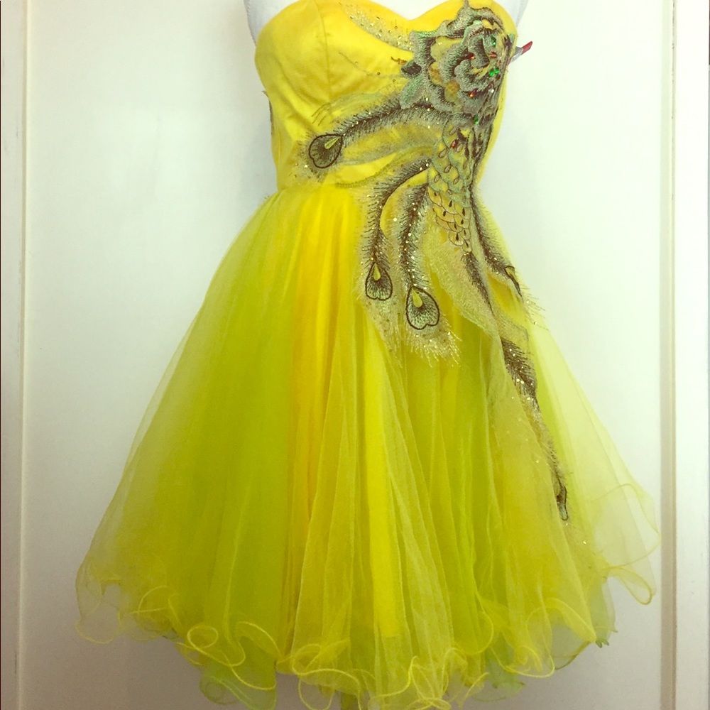 Homecoming/Prom Dress