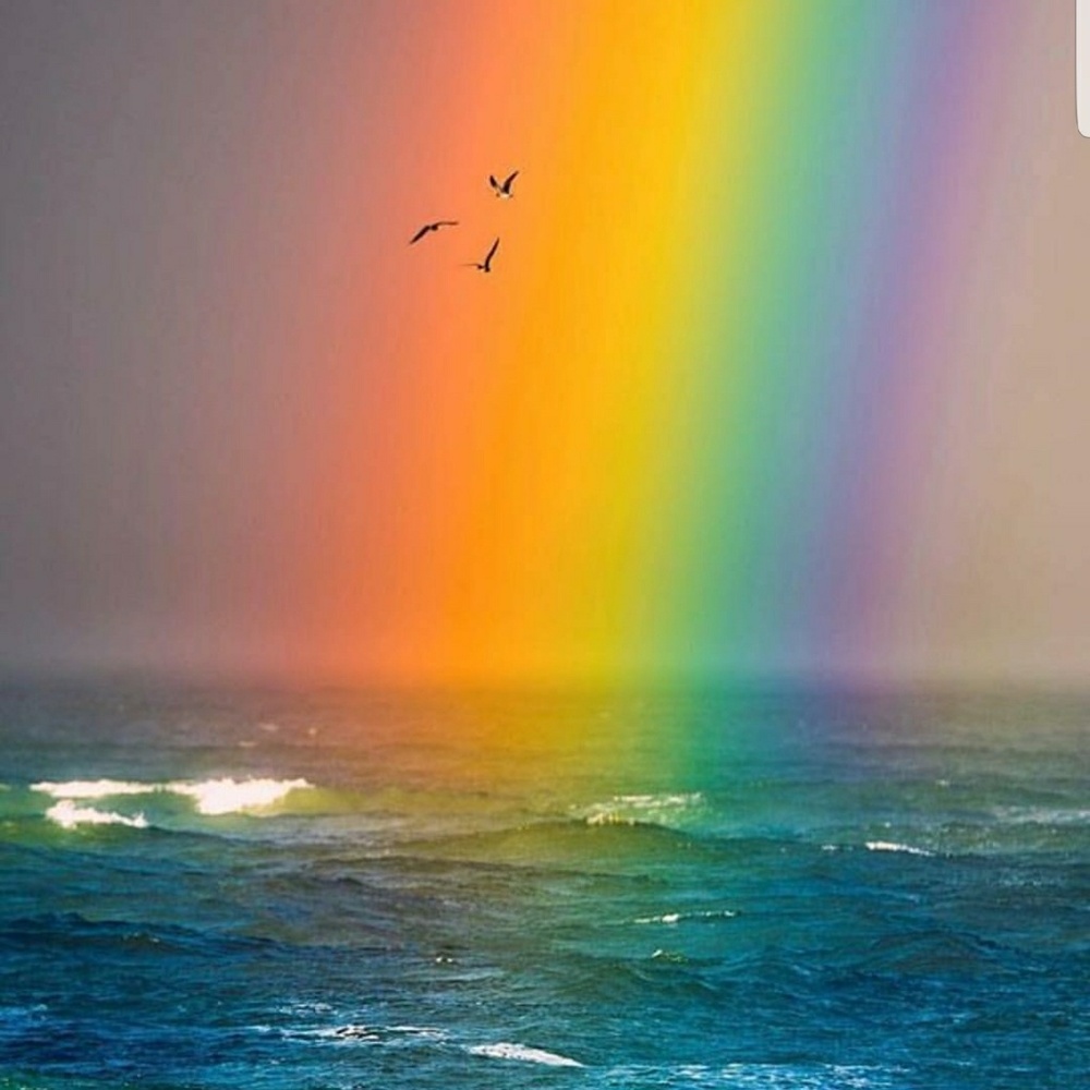 God's Rainbow