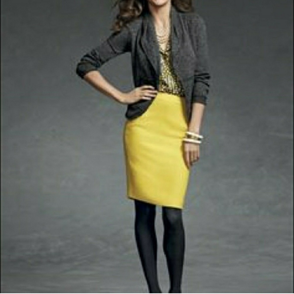 LAST CHANCE CAbi pencil skirt