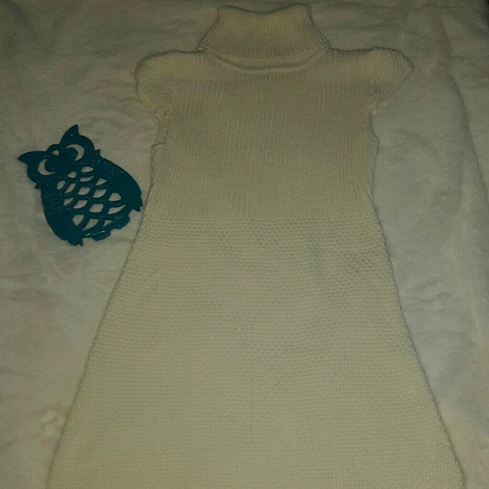 Turtle Neck Knit Dress