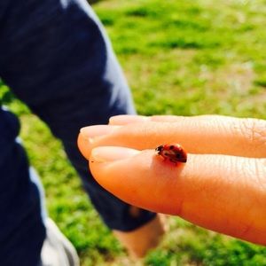 Meet your Posher, Candy