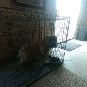 Meet your Posher, Dalon