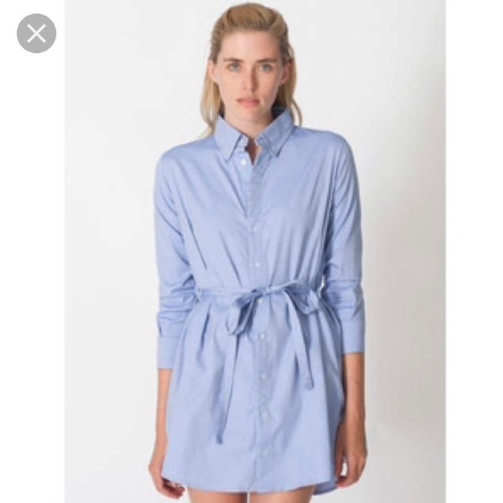 American Apparel oxford shirt dress